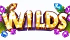 Logo shiny-wilds-officiale.fr